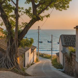 路口顶个老榕树