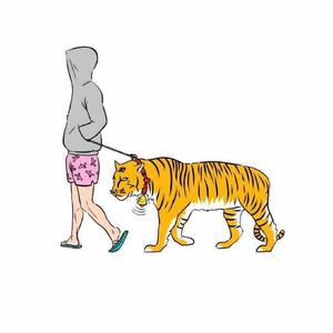 红尘来去一场梦