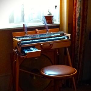 Le papillon et la fleur