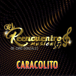 Caracolito