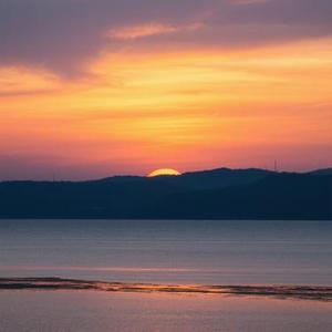 类似爱情 (Cover 何欢浪)