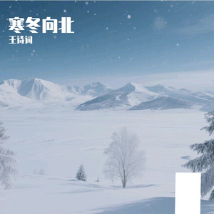 寒冬向北