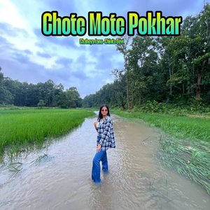 Chote Mote Pokhar