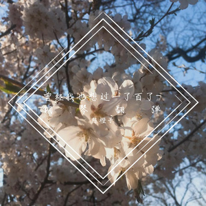 中島美嘉-曾经我也想过一了百了-钢琴（陈橙子 remix）