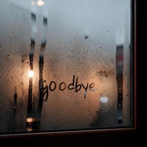 Goodbye