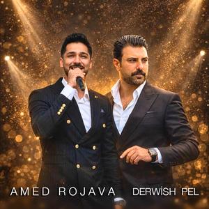 Dilkafire Zalim Seve (Remix)