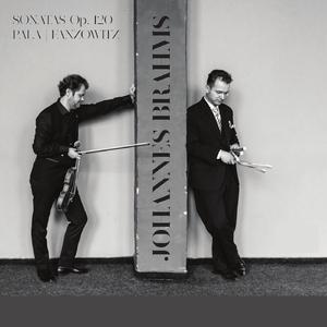 Clarinet Sonata NO. 1, Op. 120 NO. 1: II. Andante Un Poco Adagio (Arr. for Violin and Piano by Johannes Brahms)