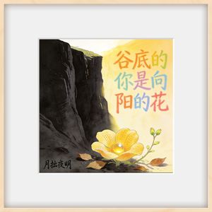 谷底的你是向阳的花
