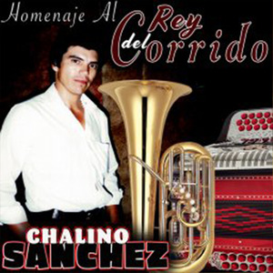 Las Adulaciones (Con Acordeón Nomás)