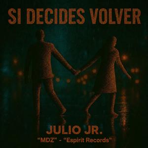 Si Decides Volver