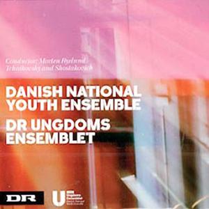 Chamber Symphony Op. 110a - 3. Allegretto