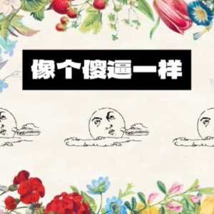 像个傻逼一样（像个白痴一样/バカみたいに填词）