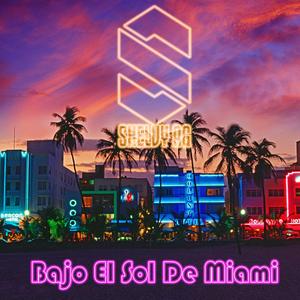 Bajo el sol de miami
