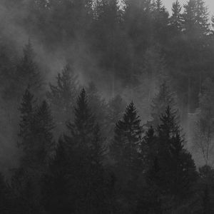 夜晚的木屋 伴奏