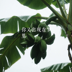 你又出现在梦里