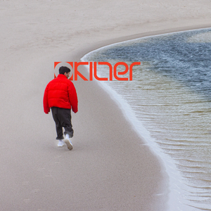 C.A.C. (Catch A Case)