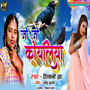 Jo Jo Koyaliya