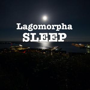 Sleep