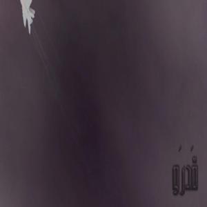 roselle (feat. ilyhiryu)