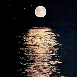 一边是慌，一边是盲