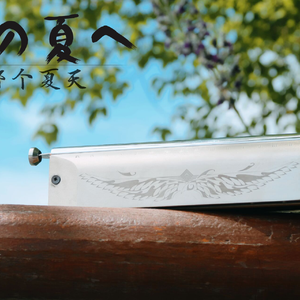 生命之名/那个夏天 口琴