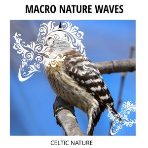 Spring Time Downpour