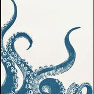 pulsesoft pasteltone