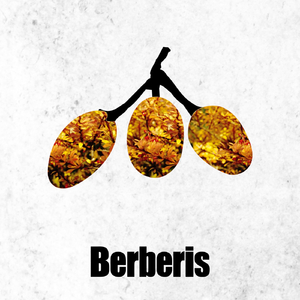 Closed Eye (Original Mix)