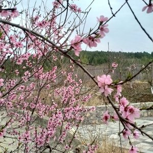 未来式情歌（翻自零6）