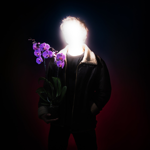 Orchidées