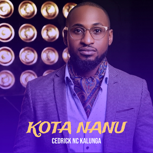 Kota nanu