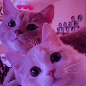 YOU & ME
