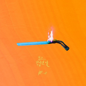 참고 참았던 말