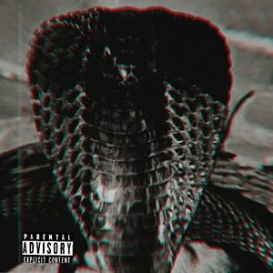 13 Rounds (feat. St. Paul Slim)