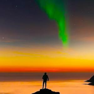 樱花树下的约定