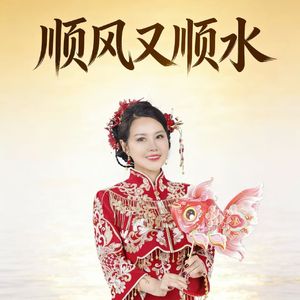 顺风又顺水（DJ版）