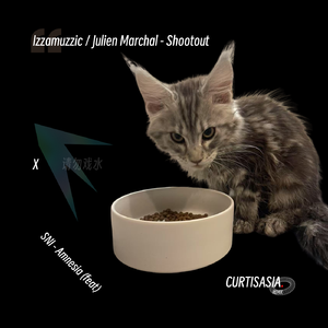 Shootout X Amnesia (CurtisAsia Edit)