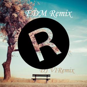 群星 - VIRemix-好听的歌就应该烂街头