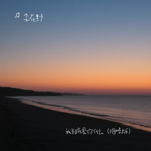 我到底爱你什么呢