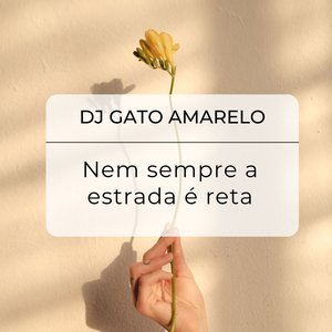 Nem sempre a estrada é reta