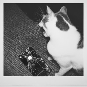 סתום תפה (לייב בפרגמון)