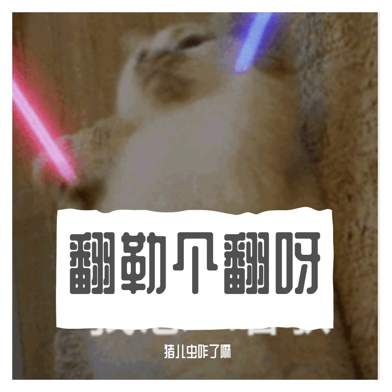 荡漾RIPPLES封面