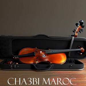 Cha3bi Jarra Nayda Ambiance