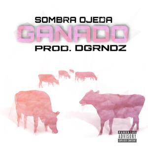 Ganado (feat. DGRNDZ)