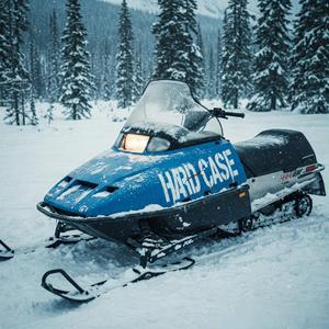 I'm In The Band, Piggy