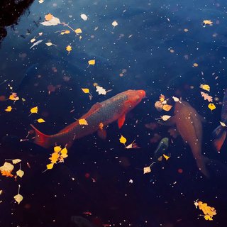这个寒冬，陪你一起度过
