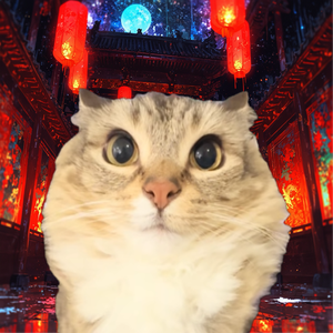 巴巴博一（Baba Boi)