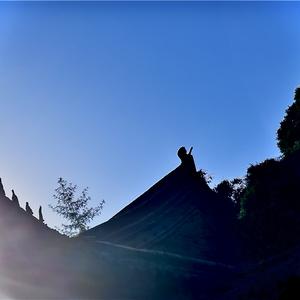 独步穿越荆棘，志不灭于人间