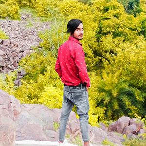 तू है मेरी दिल की रानी मे हु तेरो राजा