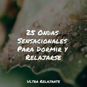 Sonidos Relajantes